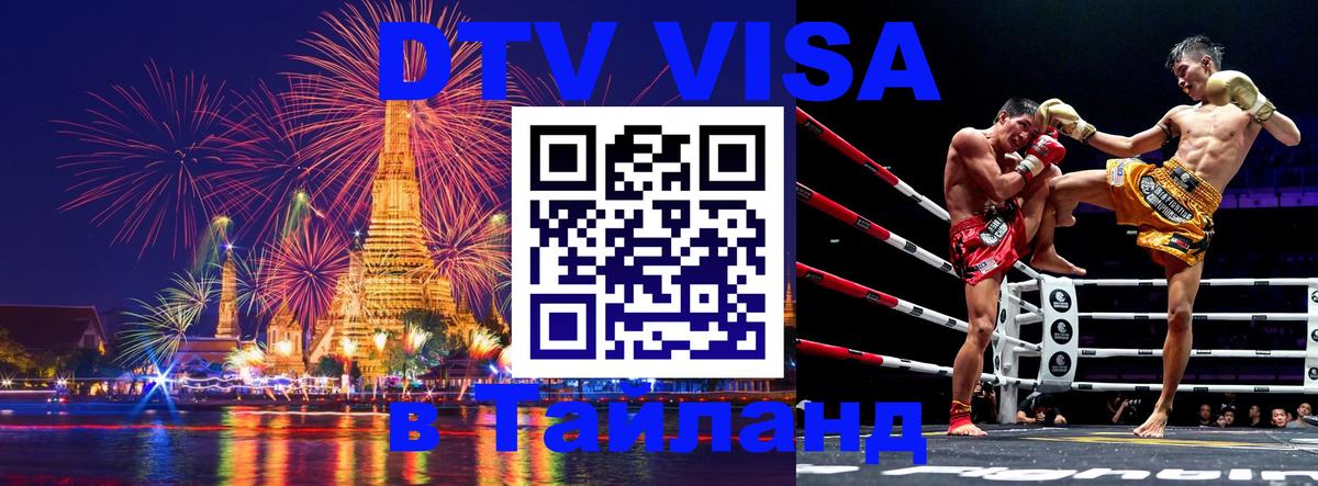 Оформление DTV визы под ключ: стоимость и тарифы, только загранпаспорт - 19.11.2025 